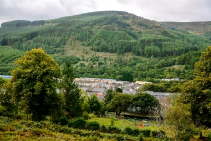 Welsh Village's Grassroots Victory: How Community Action Saved a Forest