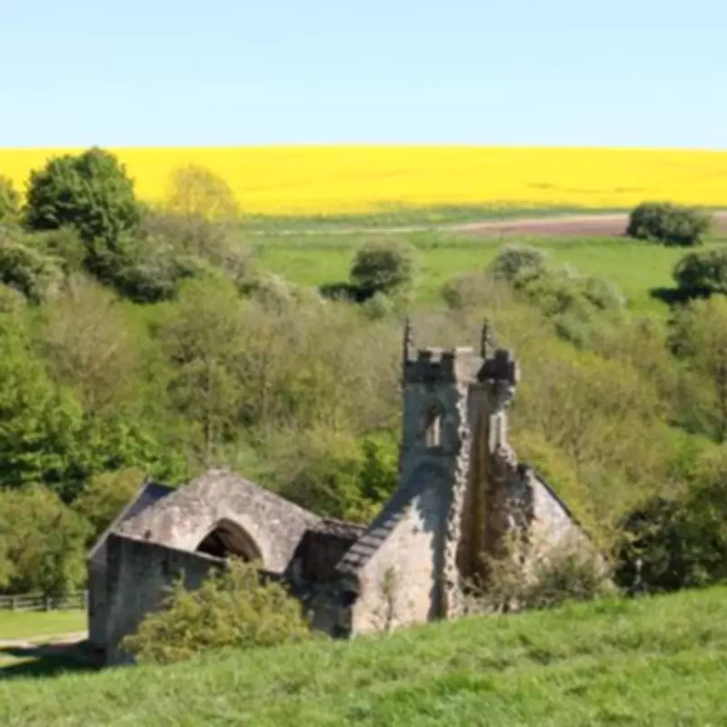 Wharram Percy: Britain's Best Preserved Medieval Village Draws Walkers