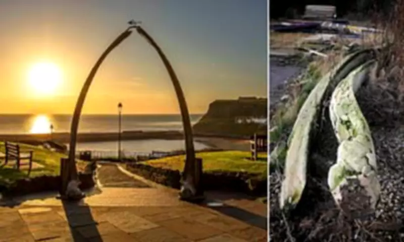 Whitby's Whale Bone Arch Sparks Conservation Row Over Real vs Replica Bones