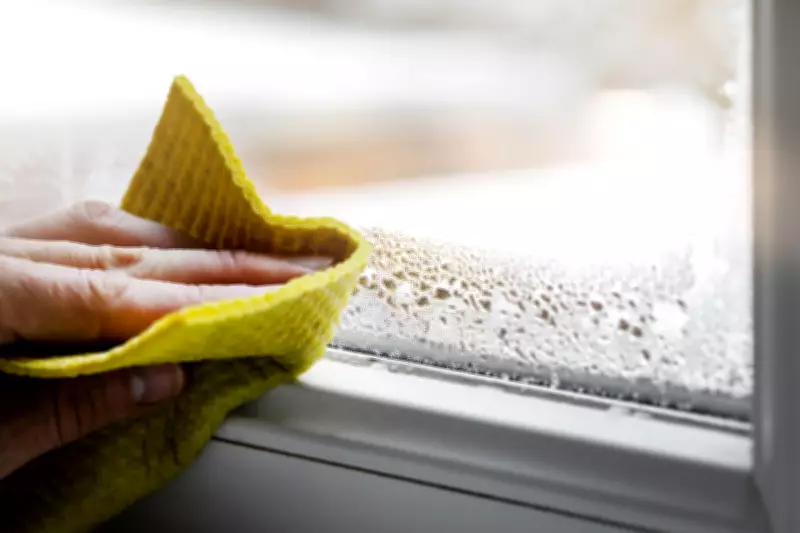 Why Condensation Forms on Windows in Winter and How to Remove It Quickly