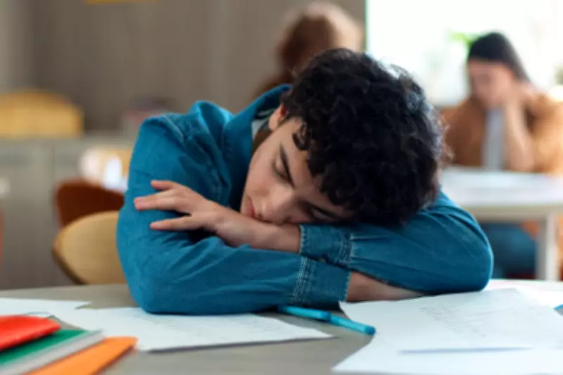 Why February Drains Night Owls: The Science Behind Winter Fatigue