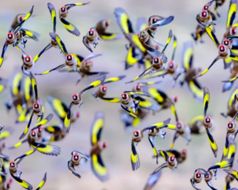 Wildlife Week: Cuddling Sloths, Dazed Iguanas, and a Very Fat Seal