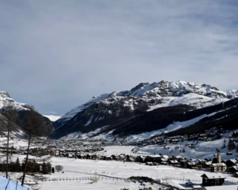 Winter Olympics 2026 Day 14: Ski Cross and Halfpipe Events Unfold