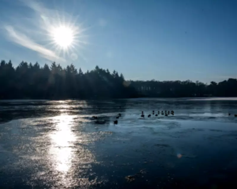 Winter Safari Weekend at Fritton Lake Showcases Norfolk Rewilding Success