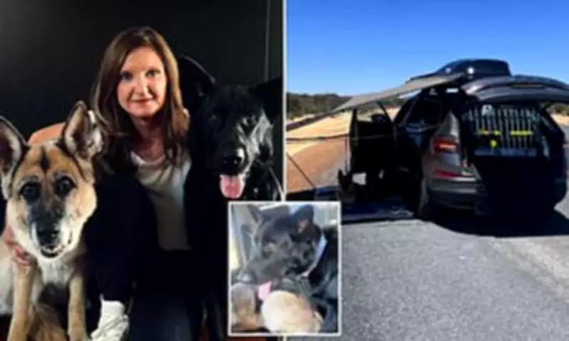 Woman Stranded in 40C Heat Accuses Roadside Assistance of 'Leaving Her to Die' Over Pet Rule