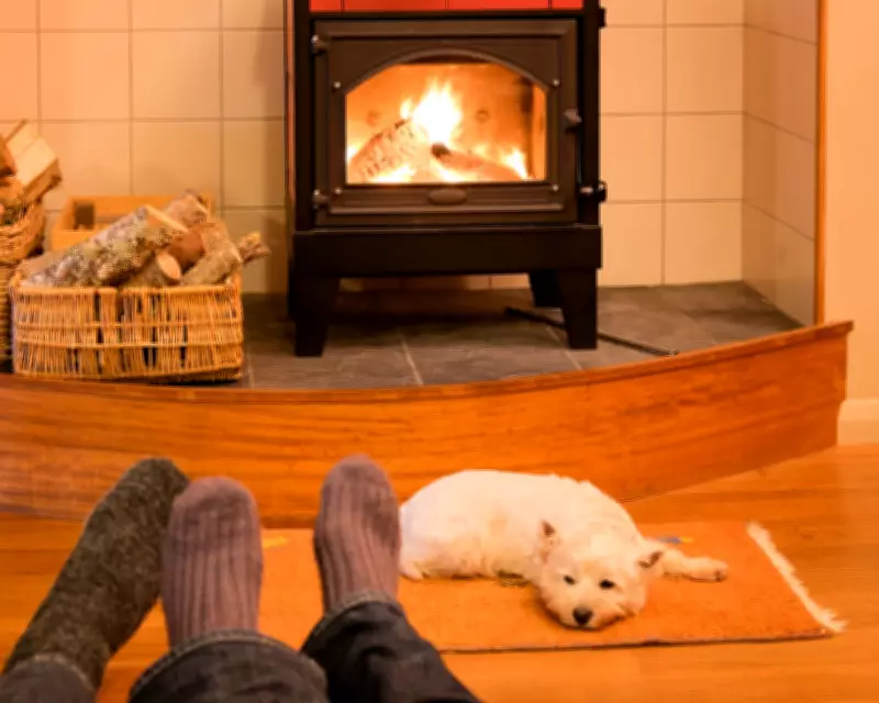 Wood Burners Triple Indoor Pollution for Children, Welsh Study Reveals