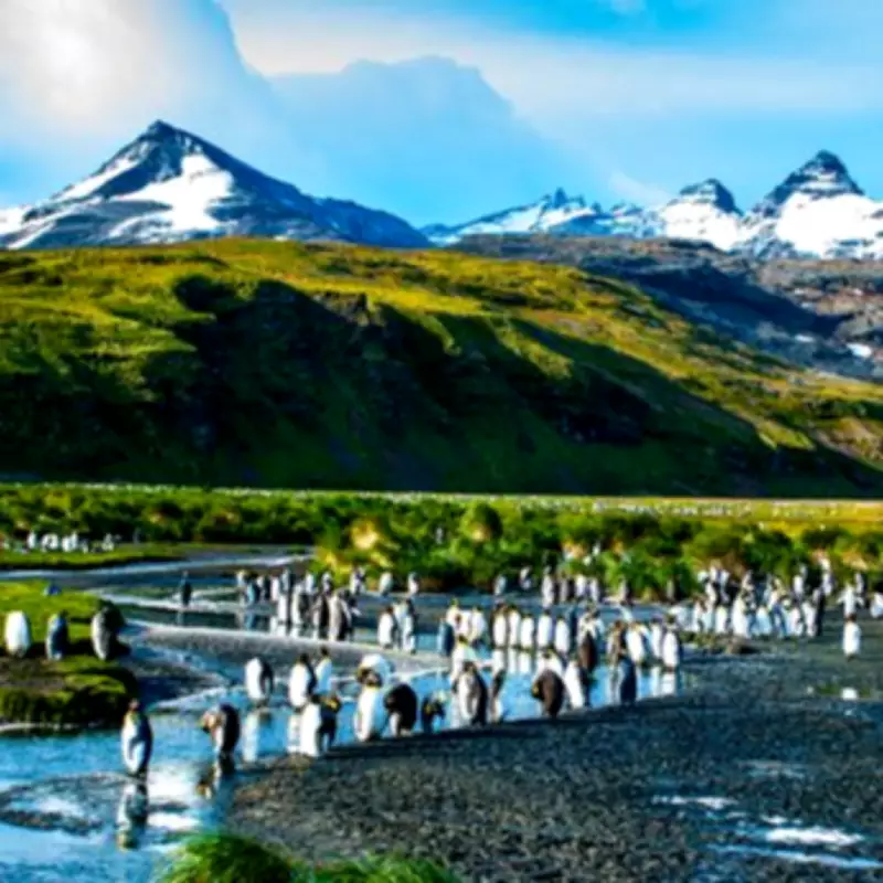 World Traveller Who's Visited 400 Islands Crowns Remote British Territory as Ultimate Destination