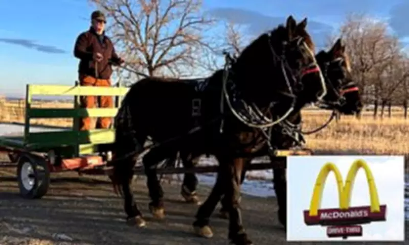 Wyoming Man Banned from McDonald's After Using Horse-Drawn Wagon in Drive-Thru