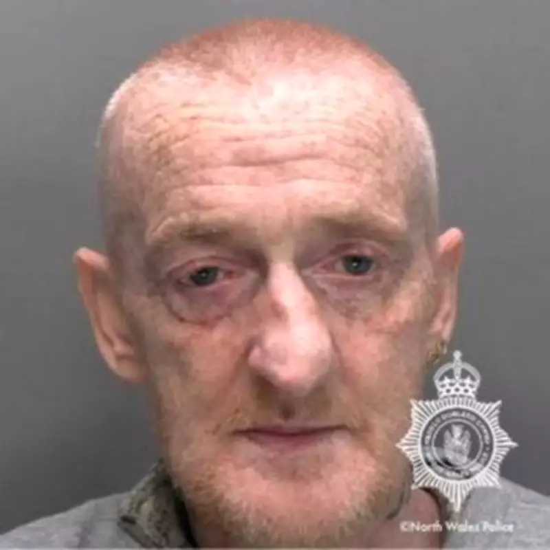 XL Bully Owner Jailed After Dog Savages Child in Llandudno Junction Attack