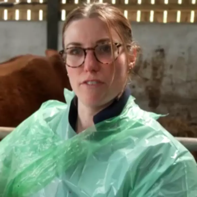 Yorkshire Vet Star Shona Searson Saves Suffocating Calf in Critical Farm Emergency