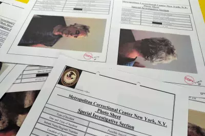 Citizen Sleuths Join Professionals in Unravelling Epstein Document Trove