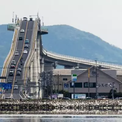 Japan's £119m 'Rollercoaster Bridge' Sparks Fear and Fascination