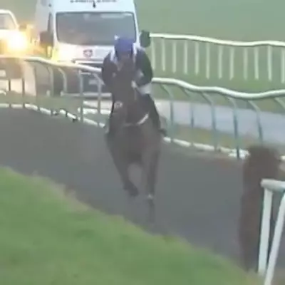 Patrick Mullins' Ingenious Track Tactic Secures 14-1 Victory at Limerick