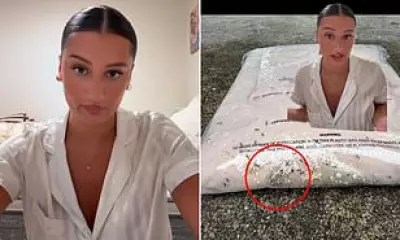 Shopper Discovers Ant Infestation in Online Fashion Order, Sparks Biosecurity Fears