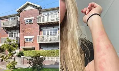 Sydney Beachside Dream Turns to Bedbug Nightmare for Coogee Apartment Tenants