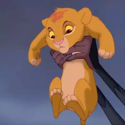 The Lion King's Circle of Life Lyrics Meaning Sparks Debate