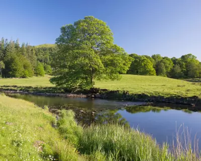 Toxic 'Forever Chemicals' Found in 25 Cumbria and Lancashire Water Sites