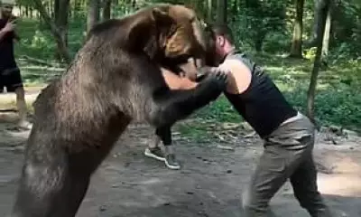 Tyson Fury's Comeback Opponent Wrestles Bear in Extreme Training Video