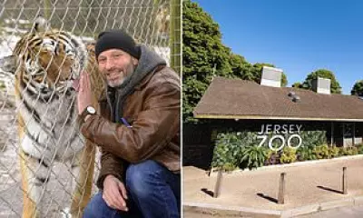 UK Zoos Face Extinction Crisis Amid Soaring Costs and Declining Visitor Numbers