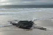 17th-Century Shipwreck Timbers Wash Ashore on Dorset Beach After Storm