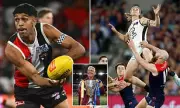 AFL Salaries Soar: 60 Players Earn Over $1M as Average Hits $500K