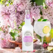 AG Barr Announces 37 Job Cuts at Fentimans Following £38m Acquisition