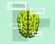 AI Expert Warns of Psychosis Risks as Silicon Valley Pursues Profit Over Safety