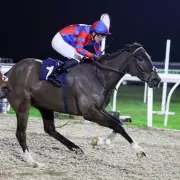 Aisling Oscar Aims for Eighth Straight Win to Match 30-Year Racing Record