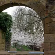 Alnwick Garden: Northumberland's Enchanting Attraction with Poison Plants & Treetop Walks