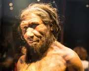 Ancient DNA Reveals Neanderthal-Human Mating Bias: Males and Females