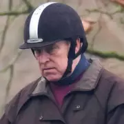 Andrew Mountbatten Windsor Arrested: Inside the Custody Cell and Legal Process