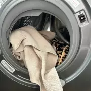 Banish Musty Towel Smells with 59p Baking Soda Hack for Fresh Laundry