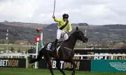 Barry Connell's Marine Nationale Aims for Cheltenham Glory Again
