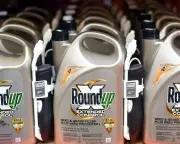 Bayer Proposes $7.25bn Settlement in Roundup Cancer Lawsuits
