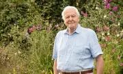 BBC to Honour Sir David Attenborough's 100th Birthday with Special Programming