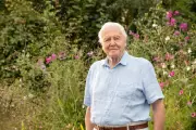 BBC to Honour Sir David Attenborough's 100th Birthday with Three New Shows