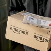 Bear Caught on Camera Stealing Amazon Parcel from Florida Porch