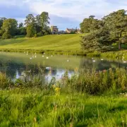 Blenheim Palace's Snowdrop Walk Evokes Jane Austen's World in February