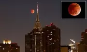 Blood Moon Eclipse on March 3 Sparks Biblical Prophecy Speculation Online