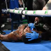 Boxer Joseph George Collapses After First Round in Detroit Fight
