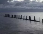 Boy's Four-Hour Swim Saves Family in Western Australia