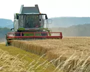 British Farmers Face Financial Losses Under New Environmental Scheme Plans