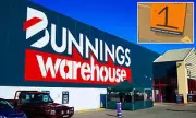 Bunnings' Viral Mini Buckets Return, Sparking Shopper Frenzy Nationwide