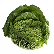 Cabbagecore: The Humble Brassica's Rise as a Fashion and Lifestyle Icon