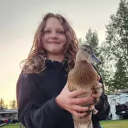 Canada School Shooting: 12-Year-Old Maya Gebala Fights for Life After Attack