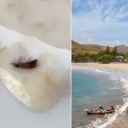 Cape Verde Health Crisis: Six British Tourists Dead, Over 150 Ill