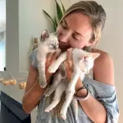 Cat Finds Unusual Warm Spot on Stovetop During Freezing Winter Weather