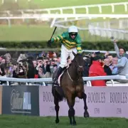 Cheltenham 2026: Defending Champion Inothewayurthinkin's Gold Cup Bid Uncertain After Poor Form