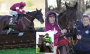 Cheltenham Champion Hurdle: A Wide-Open Betting Puzzle with Trust Issues