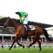 Cheltenham Festival 2026 Tickets: Dates, Prices and Where to Buy